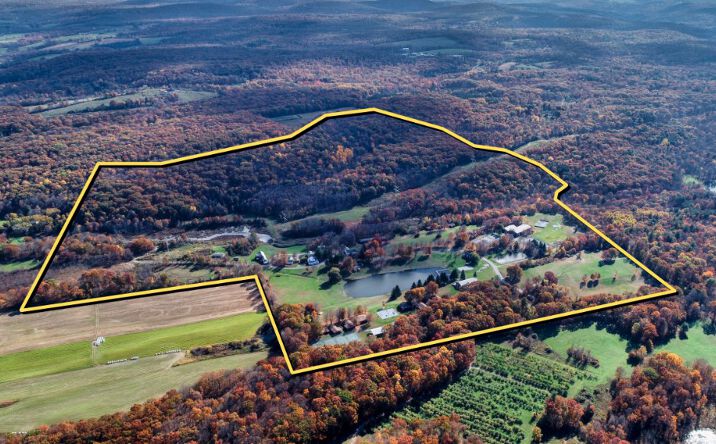 Pictures of Hospitality, Special Purpose property located at 232 White Oak Rd, Elizaville, NY 12523 for sales - image #1