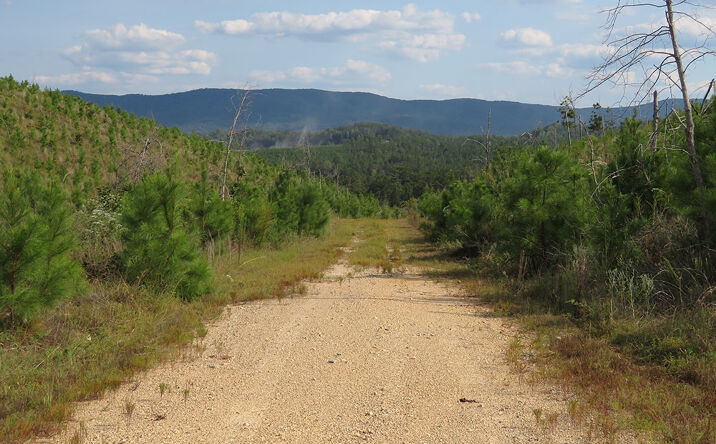 Pictures of Land property located at Roy Webb Rd, Jacksonville, AL 36265 for sales - image #1