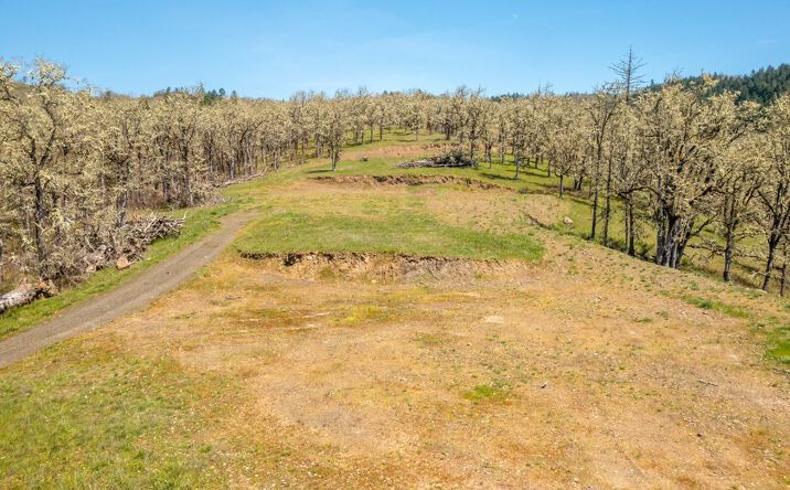 Pictures of Land property located at E Willis Creek Rd, Winston, OR 97496 for sales - image #1