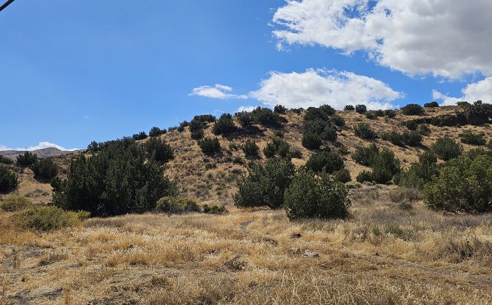 Pictures of Land property located at Sierra Highway Vic Highway, Palmdale, CA 93550 for sales - image #1