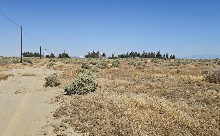 Pictures of Land property located at 55th Street West, Lancaster, CA 93536 for sales - image #1