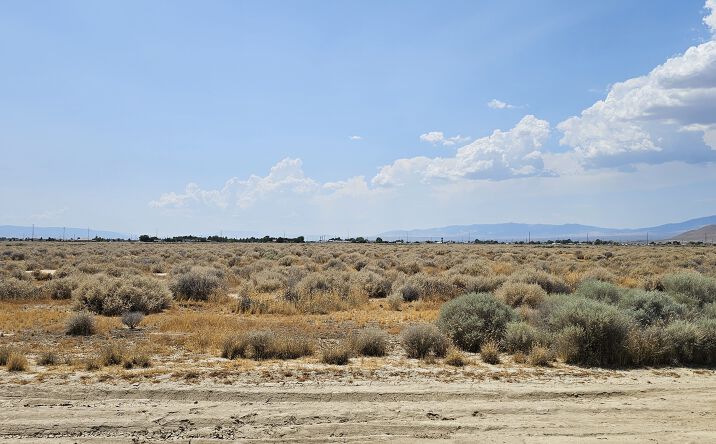 Pictures of Land property located at 50th St W / Sue Avenue, Rosamond, CA 93560 for sales - image #1