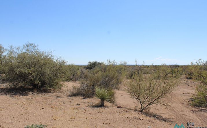 Pictures of Land property located at Laturner Rd Sw, Deming, NM 88030 for sales - image #1