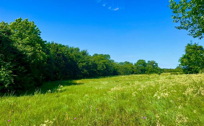 Pictures of Land property located at Lot 67 Sarra Ranch, Poolville, TX 76487 for sales - image #1