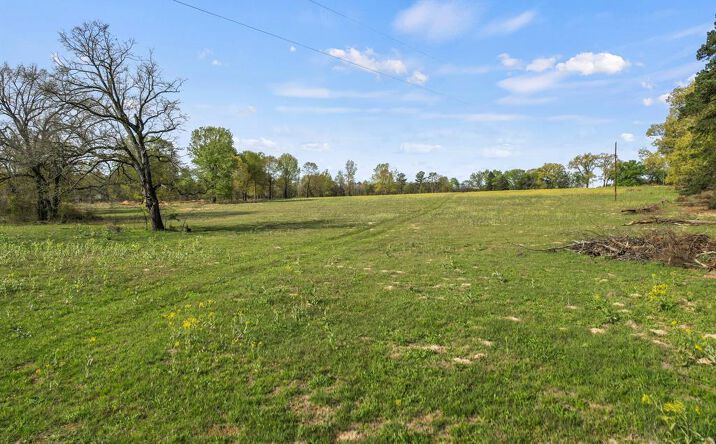 Pictures of Land property located at 000 County Road 4663, Mount Pleasant, TX 75455 for sales - image #1