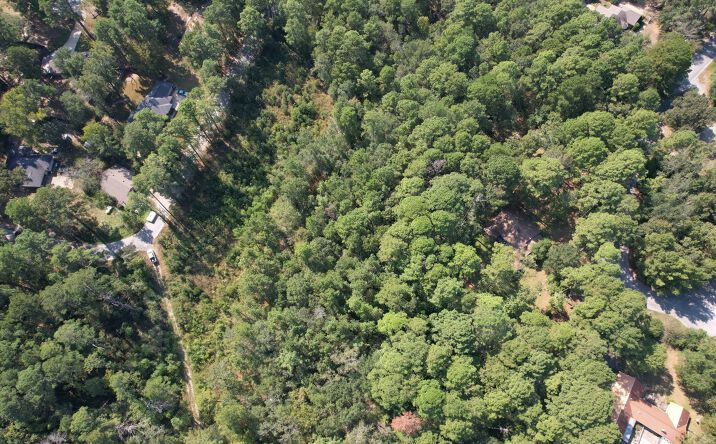 Pictures of Land property located at TBD Easley Rd, Huntsville, TX 77320 for sales - image #1