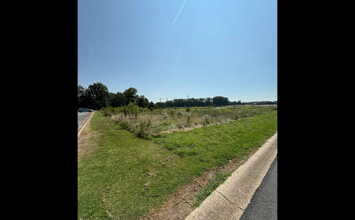 Pictures of Land property located at Highway 321, Cabot, AR 72023 for sales - image #1