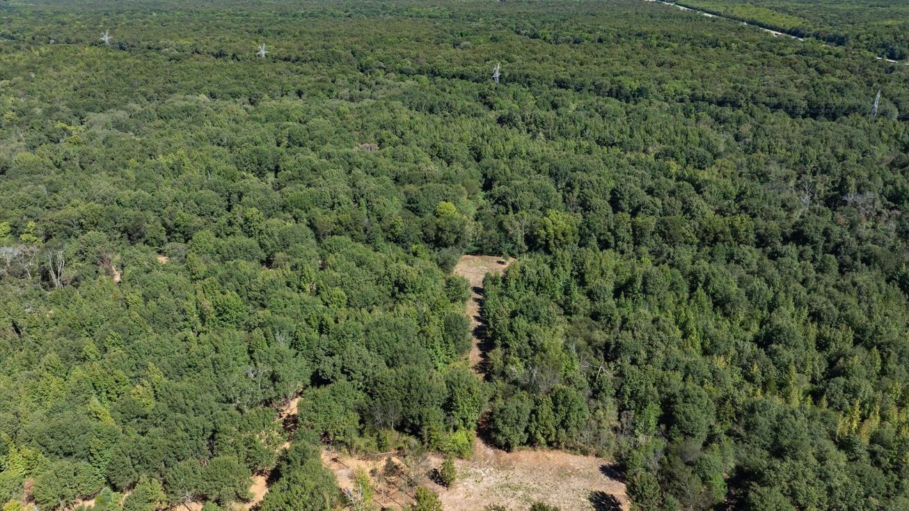 Tract 3 County Rd 484, Mineola, TX 75773