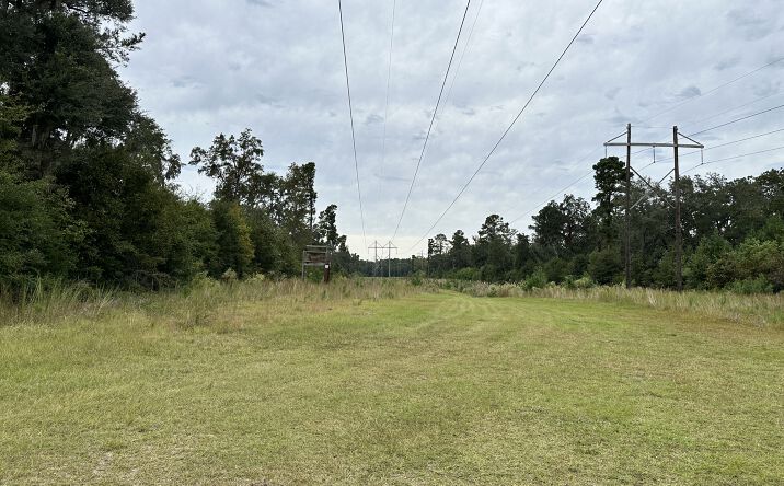 Pictures of Land property located at 214A Seabrook Rd, Seabrook, SC 29940 for sales - image #1