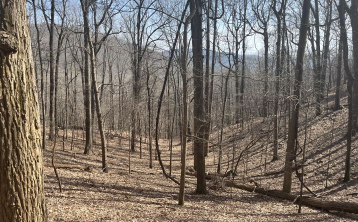 Pictures of Land property located at 1400 Valley View Dr, Jasper, GA 30143 for sales - image #1