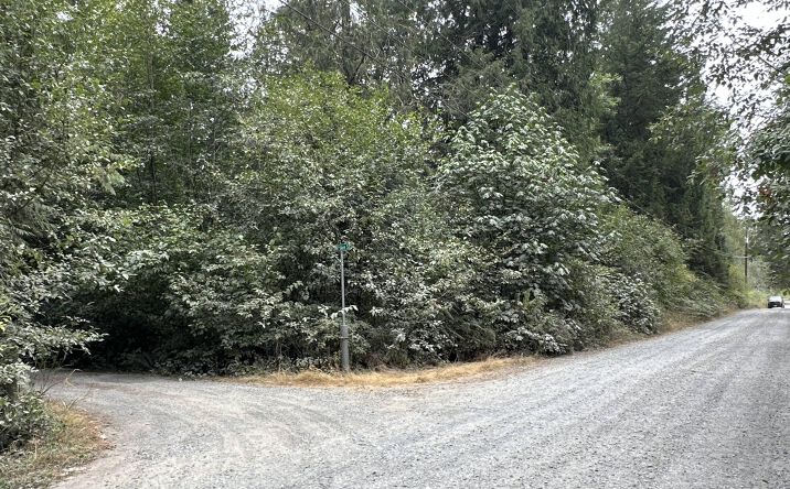 Pictures of Land, Mixed Use property located at 29909 68th Ave S, Roy, WA 98580 for sales - image #1