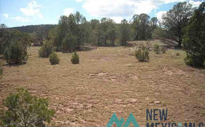 Pictures of Land property located at 16.46+/-ac Near Sheridan, Sheridan, NM 87701 for sales - image #1