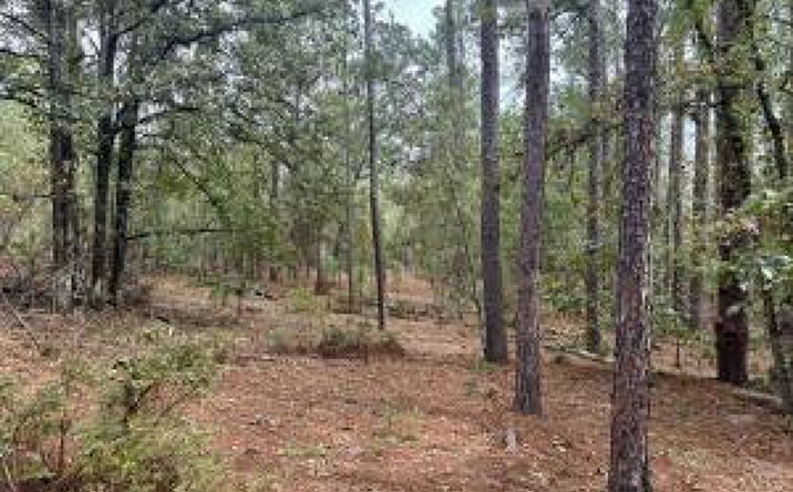 Pictures of Land property located at 000 Jacques Haven, Gaston, SC 29053 for sales - image #1