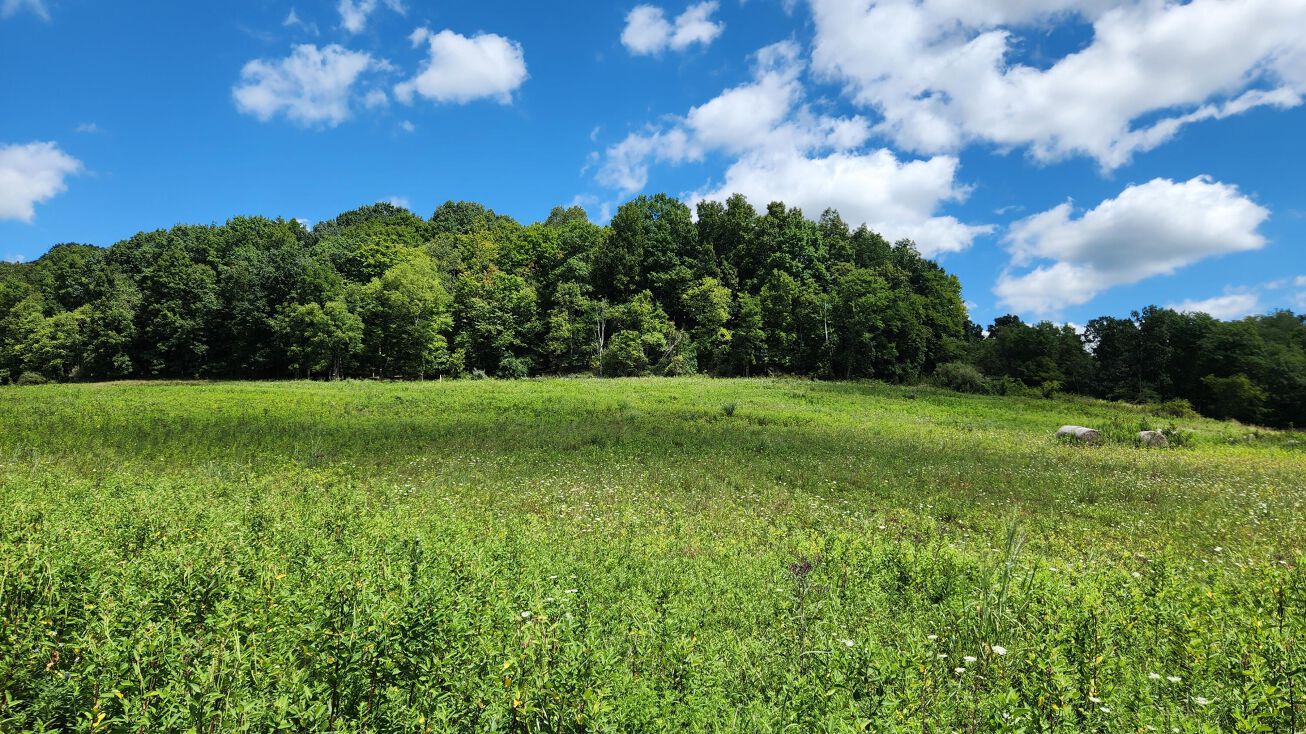 34978 SR 681 Road, Albany, OH 45710