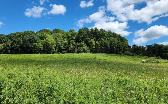 Pictures of Land property located at 34978 SR 681 Road, Albany, OH 45710 for sales - image #1