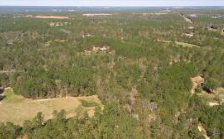 Pictures of Land property located at 55 Potter Lane, Warrenville, SC 29851 for sales - image #1