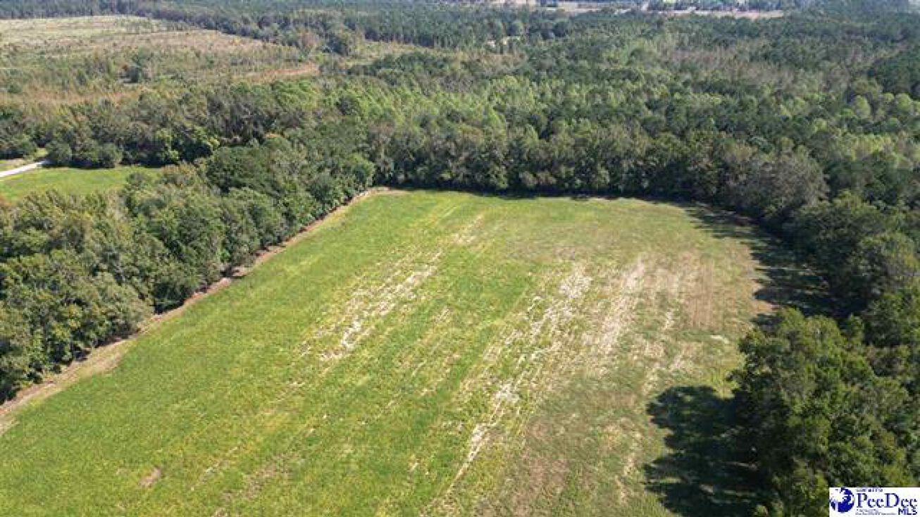 Lot E Sunset Dr, Latta, SC 29565