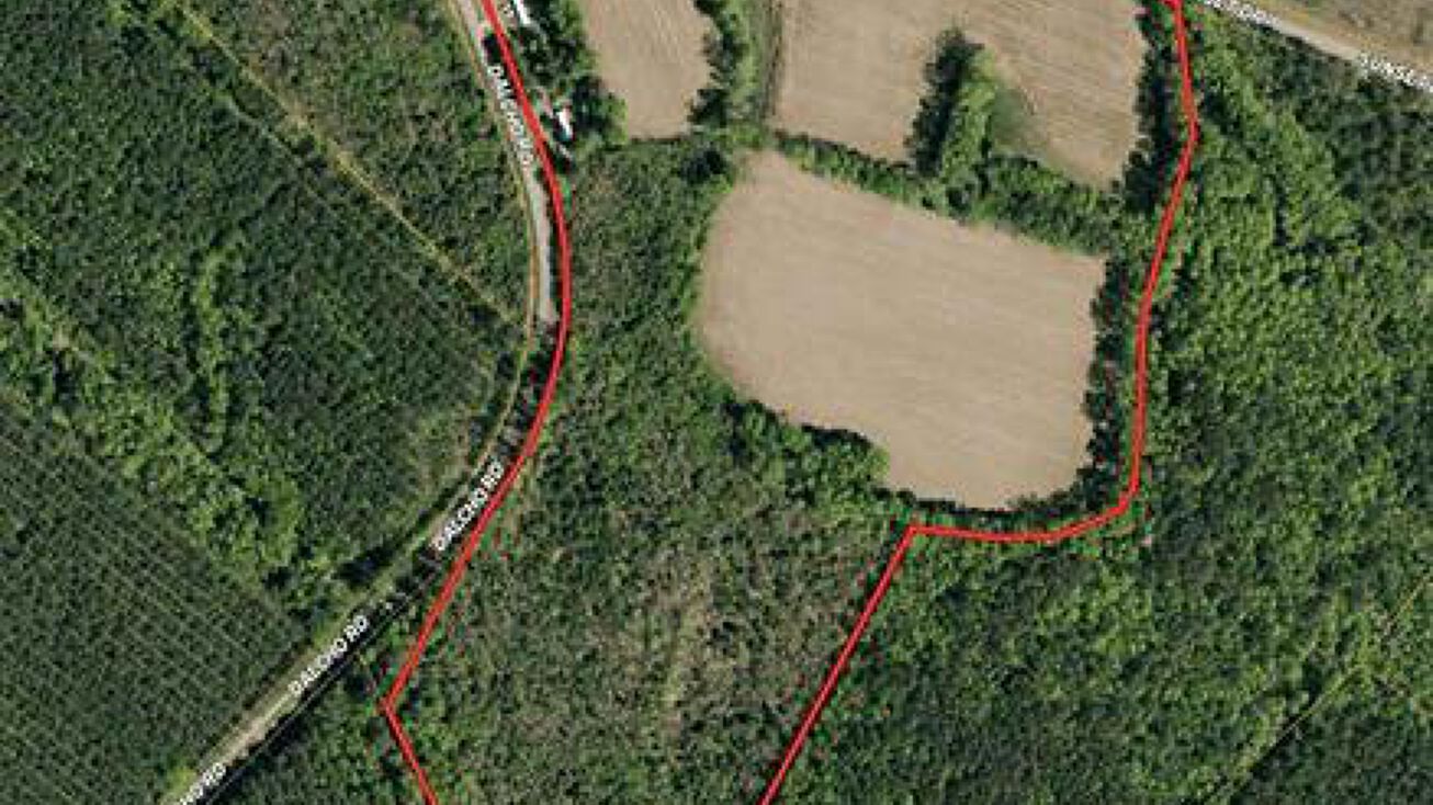 Sunset Dr, Latta, SC 29565