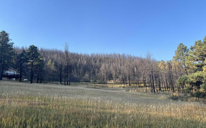 Pictures of Land property located at 8 Pascual Road, Rociada, NM 87742 for sales - image #1