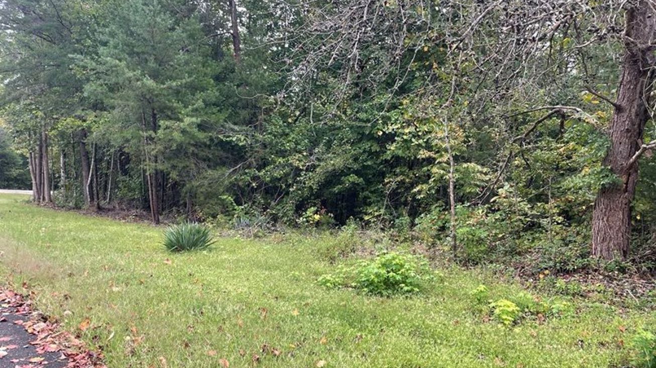 Lots 5 & 6 Lakeview Drive, Albany, KY 42602