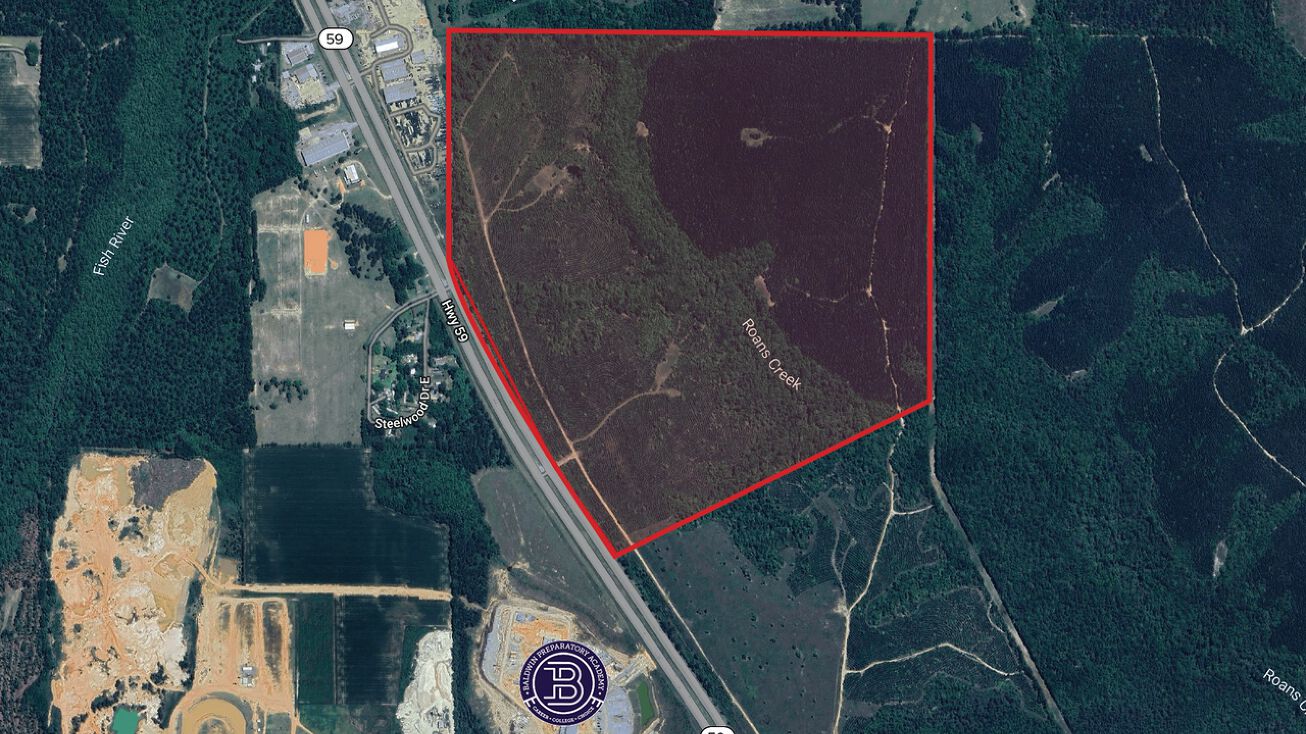 Pictures of Land property located at 0 highway 59, Loxley, AL 36551 for sales - image #1