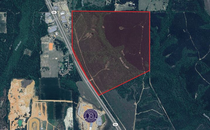 Pictures of Land property located at 0 highway 59, Loxley, AL 36551 for sales - image #1