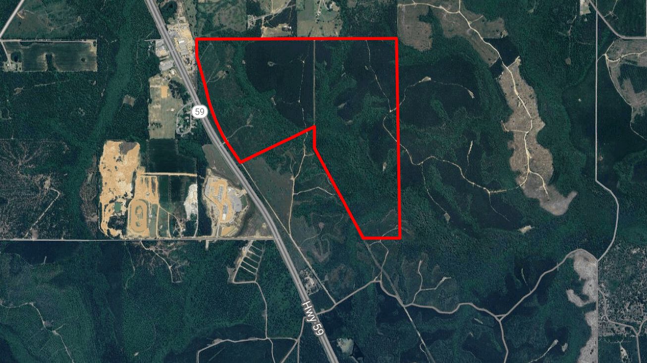 Pictures of Land property located at 0 Highway 59, Loxley, AL 36551 for sales - image #1