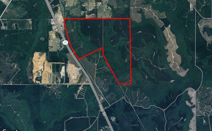 Pictures of Land property located at 0 Highway 59, Loxley, AL 36551 for sales - image #1