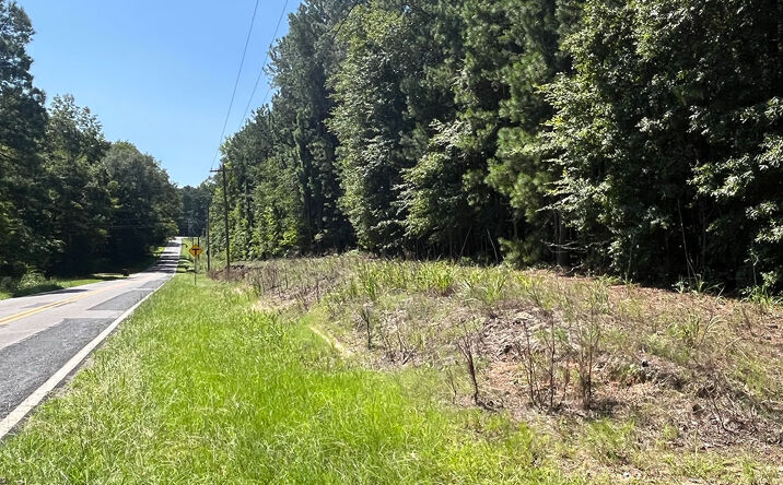 Pictures of Land property located at Pettigrew Pines Tract E, Baldwin, CO 81230 for sales - image #1