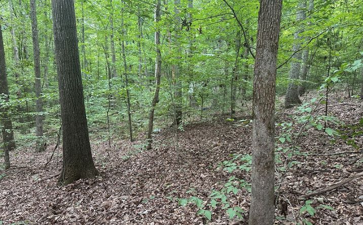 Pictures of Land property located at Roanoke Drive, Clarksville, VA 23927 for sales - image #1