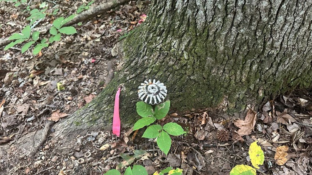 Roanoke Dr, Clarksville, VA 23927