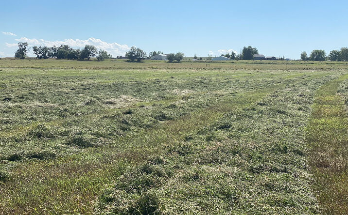 Pictures of Land property located at 6419 Olive Branch Way, Billings, MT, Billings, MT 59106 for sales - image #1