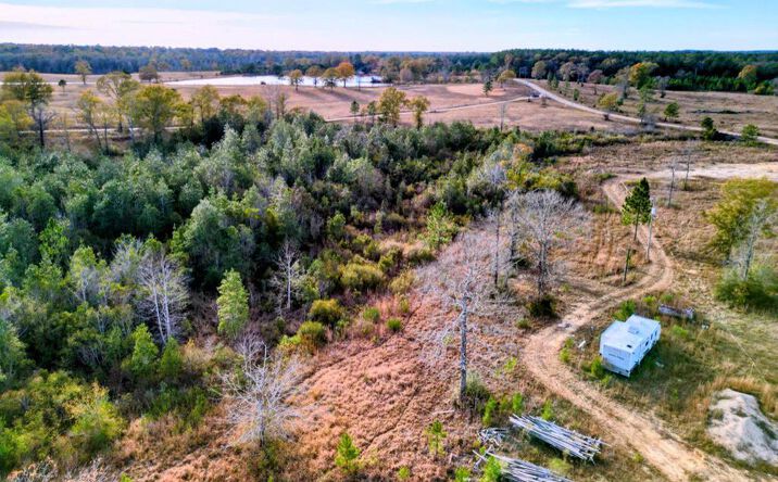 Pictures of Land, Multifamily property located at 250 NHN REDFISH RD, Poplarville, MS 39470 for sales - image #1