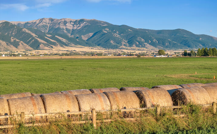 Pictures of Land property located at Spain Bridge Rd, Belgrade, MT 59714 for sales - image #1