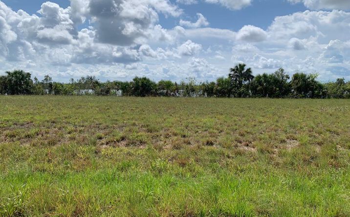 Pictures of Land property located at 38 Macaw Drive, Placida, FL 33946 for sales - image #1