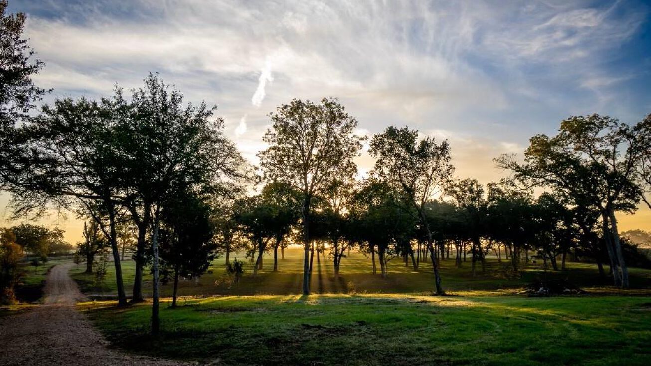 8321 Equestrian Ln, Washington, TX 77880