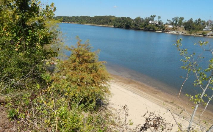 Pictures of Land property located at Lot 98 Cravens Rd, Savannah, TN 38372 for sales - image #1