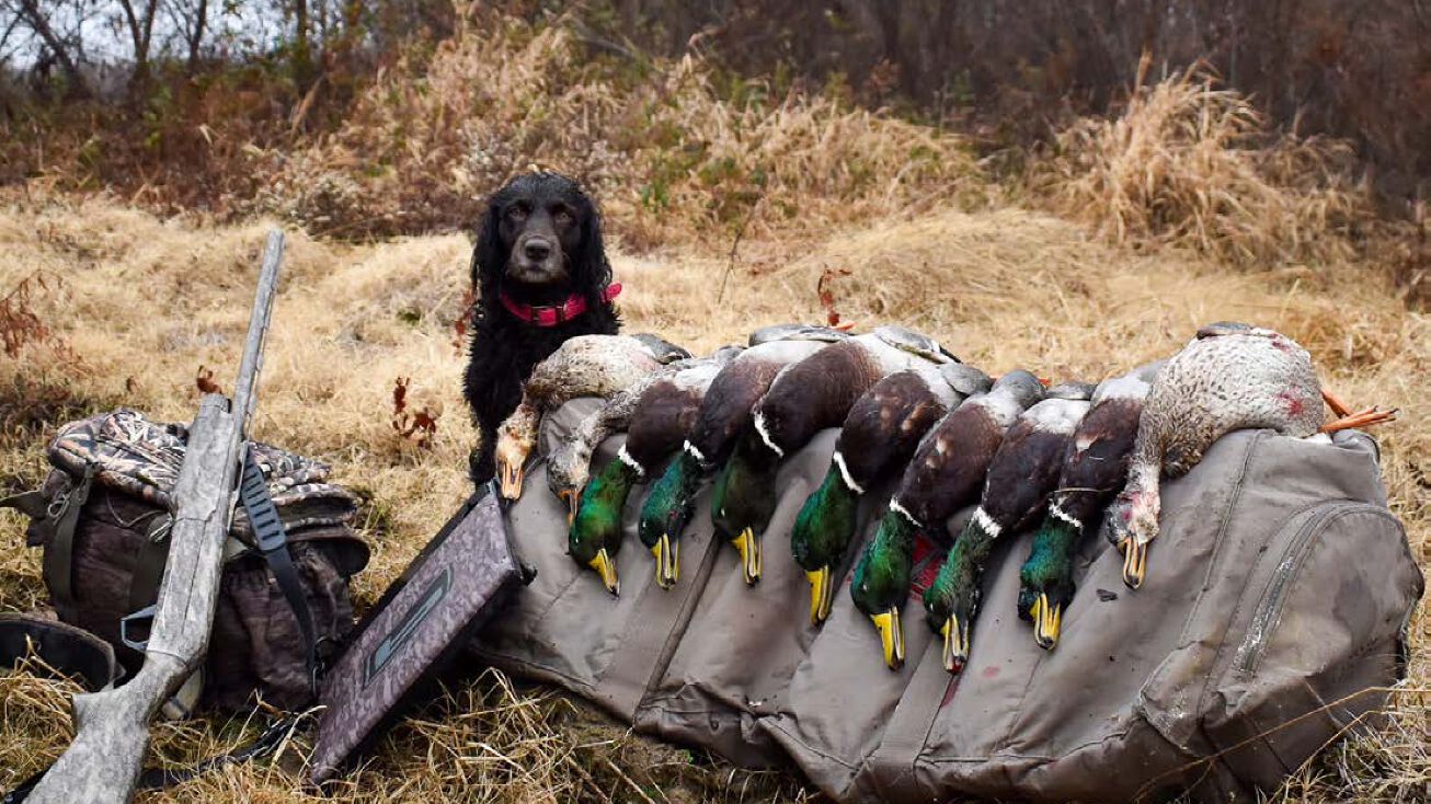 Maple Slough, Brinkley, AR 72021
