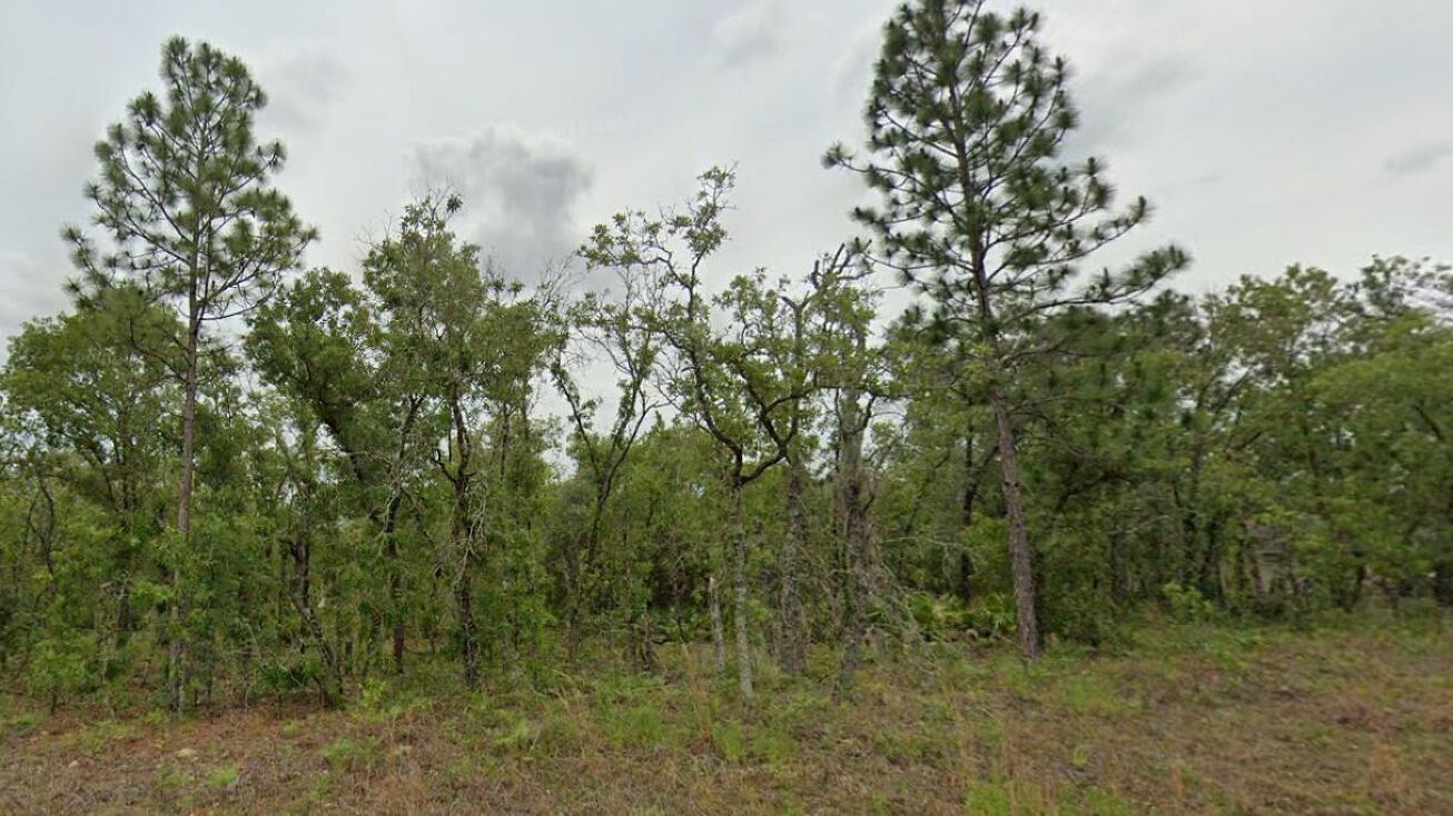 2477 W Swanson, Citrus Springs, FL 34434