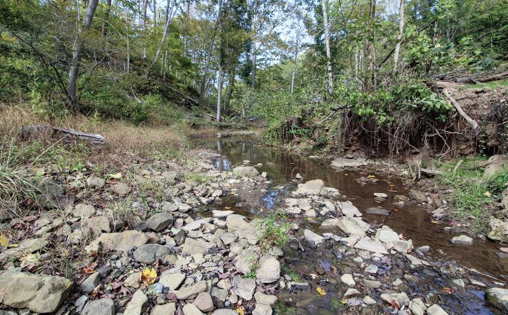 Pictures of Land property located at 0 Cow Run Road, Marietta, OH 45750 for sales - image #1