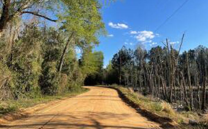 Pictures of Land property located at 00 Windsor Road, Windsor, SC 29856 for sales - image #1