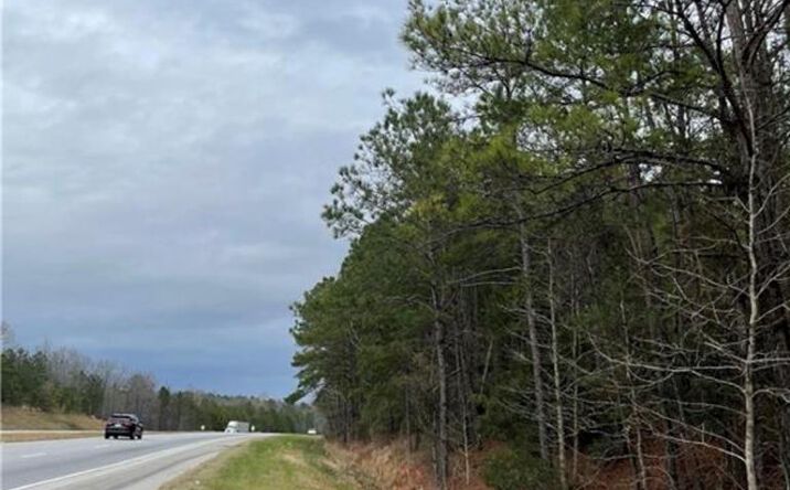 Pictures of Land property located at 3921 US-431, Phenix City, AL 36869 for sales - image #1