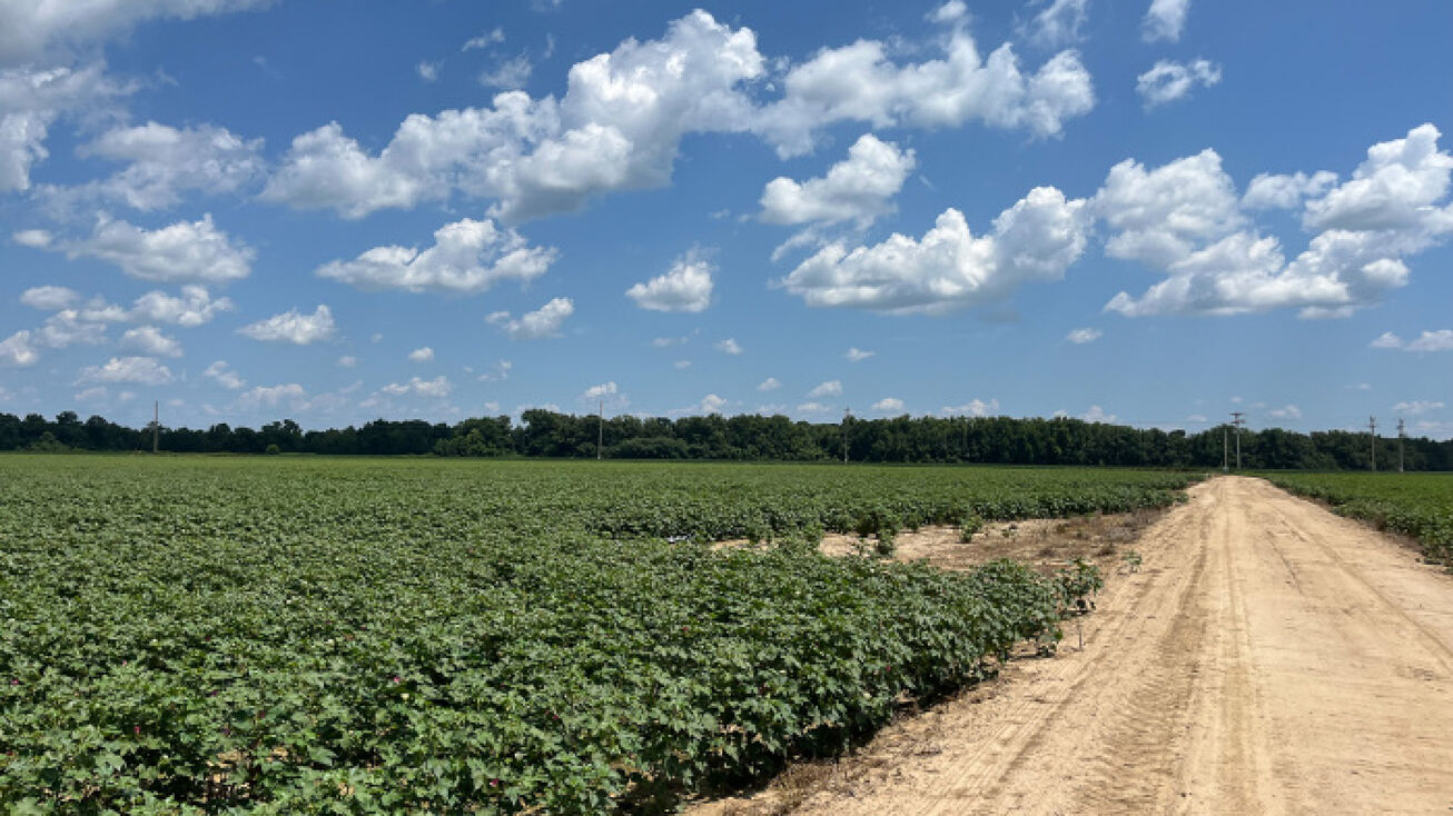 TLM Old Little Rock Rd, HelenaWest Helena, AR 72342