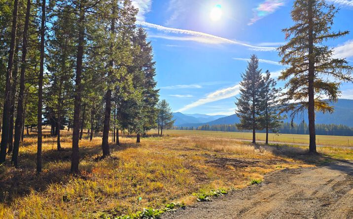 Pictures of Land property located at 19 Faro Lane, Trout Creek, MT 59874 for sales - image #1
