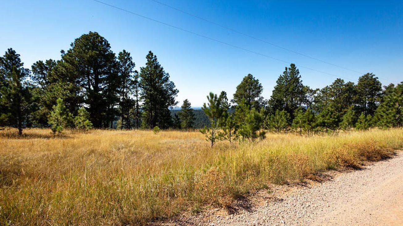 Bear Lodge Ranch Rd, Devils Tower, WY 82729