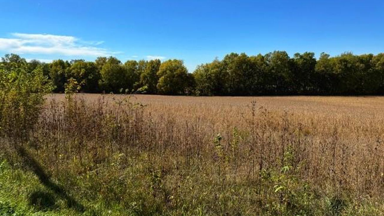 E Highway, Mound City, MO 64470