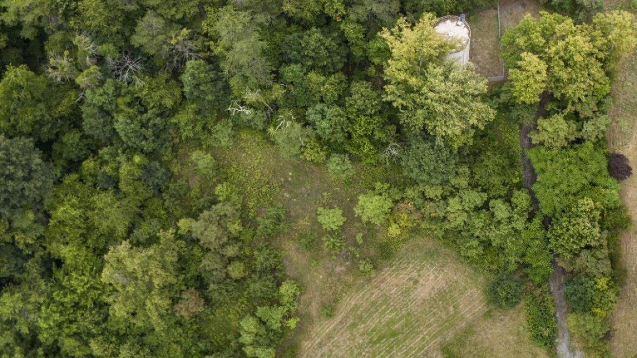 4468 Toddsbury Drive, Vinton, VA 24179