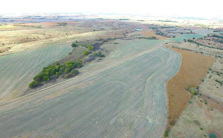 Pictures of Land property located at Road 717, Edison, NE 68936 for sales - image #1