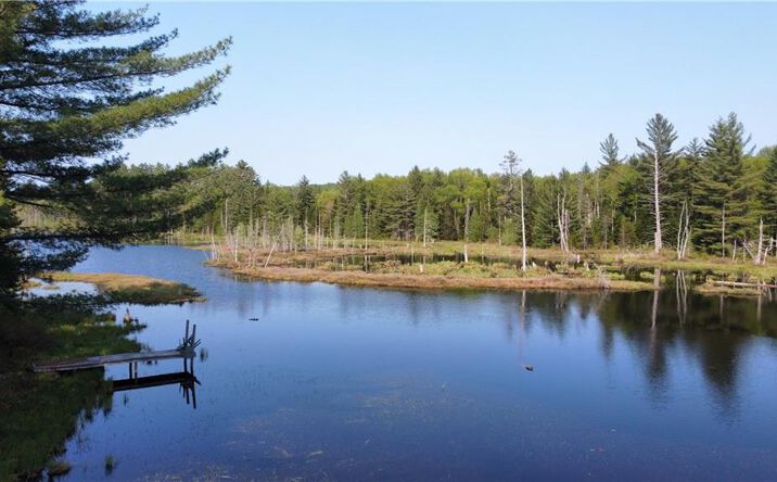 Pictures of Hospitality, Land, Special Purpose property located at 8440 Stony Lake Rd, Glenfield, NY 13343 for sales - image #1