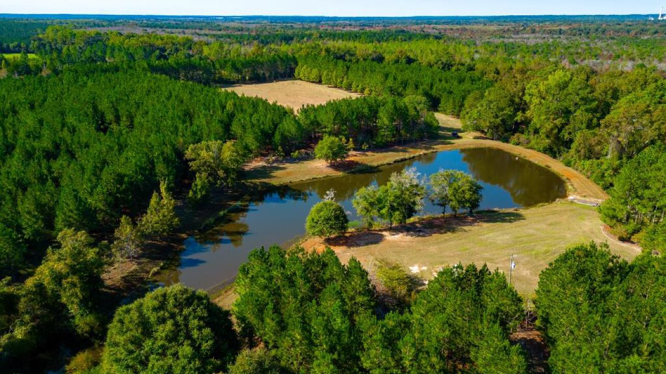 Drayton Rd, Montezuma, GA 31063